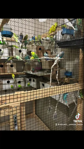 Selçuklu Petshop foto 2