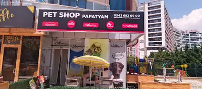Papatyam Pet Shop fotoğrafı