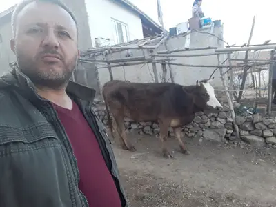 çağrı veteriner kliniği