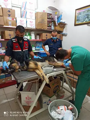 VETERİNER HEKİM BEKİR ÖZER