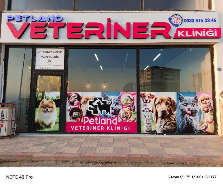 Petland Veteriner Kliniği foto 2