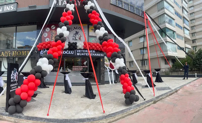 Cağaloğlu Veteriner Kliniği foto 2