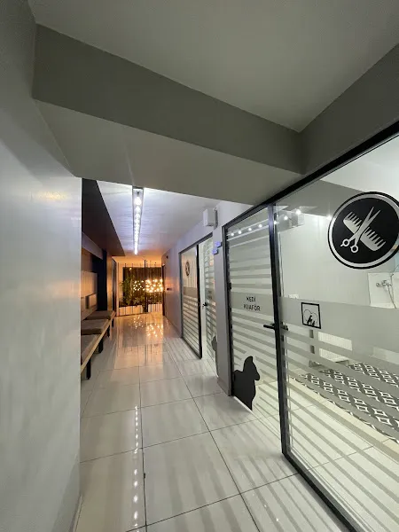 Patika Veteriner Kliniği foto 2
