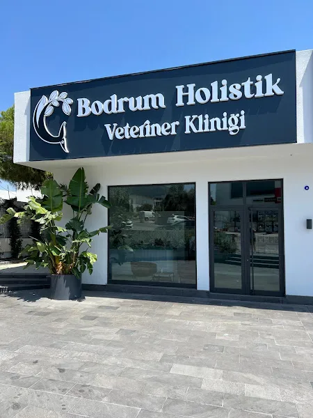 Bodrum Holistik Veteriner Kliniği foto 1