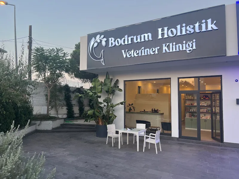 Bodrum Holistik Veteriner Kliniği foto 2