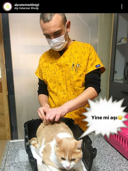 Alp Veteriner Kliniği foto 2