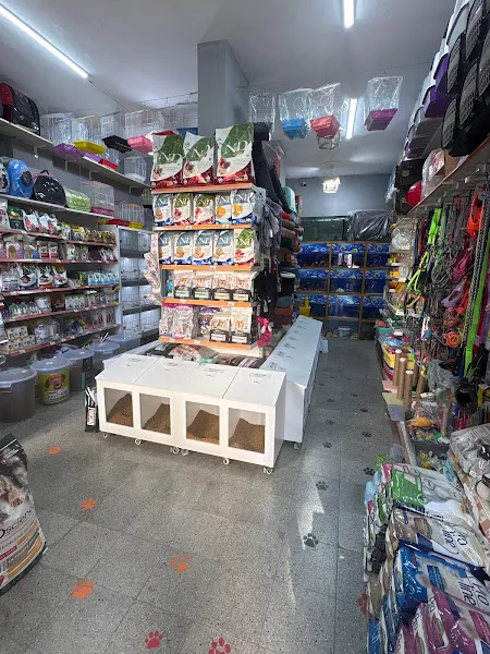 SİMAY PETSHOP foto 2