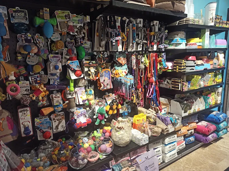Ada Petshop - Evlere Servisimiz Vardır foto 2