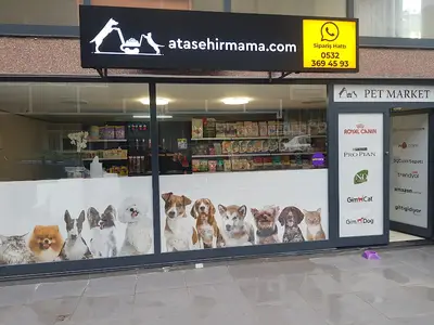 Ataşehir Mama
