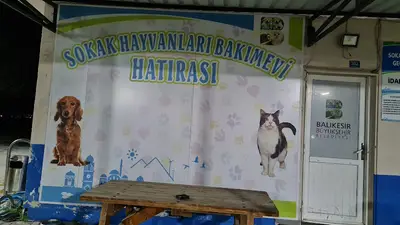 Altıeylül Sokak Hayvanları Geçici Bakım Evi