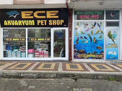 Ece Akvaryum & Pet Shop