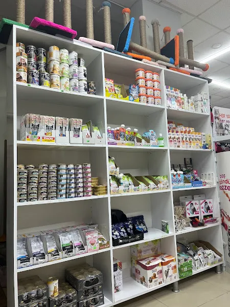 Asil Petshop foto 2