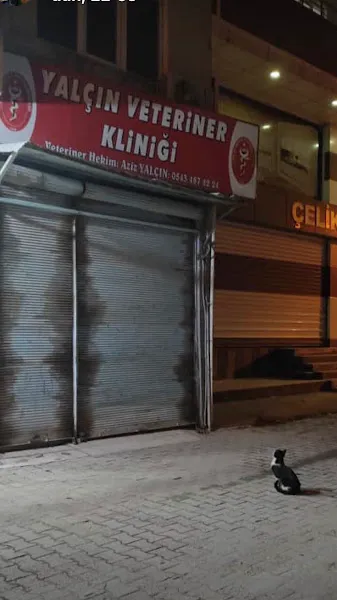Yalcın Veterinek Kliniği foto 2