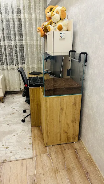 Aslanbey Akvaryum foto 2