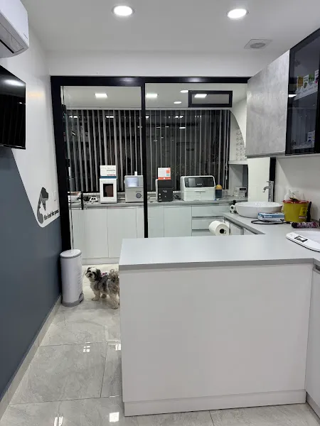 Sarıyer Elit-Vet Veteriner Kliniği foto 2