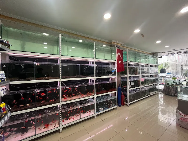 Karam Petshop-Akvaryum foto 2