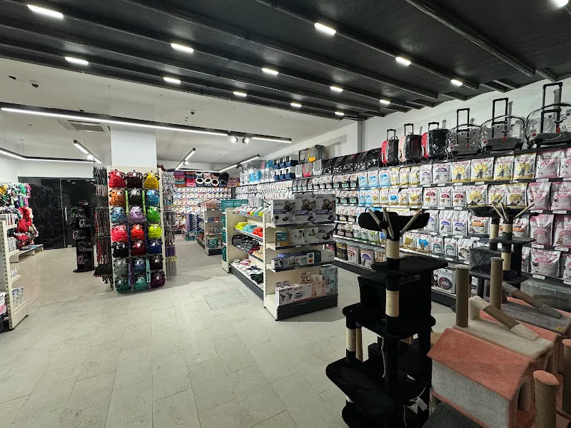 Petasya Sultanbeyli Petshop foto 2