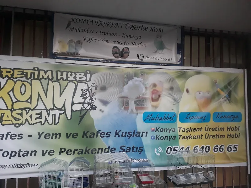 TAŞKENT ÜRETİM HOBİ ALFA İSPİNOZ foto 2