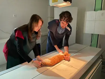 Milas Veteriner Fak. Hayvan Hastanesi