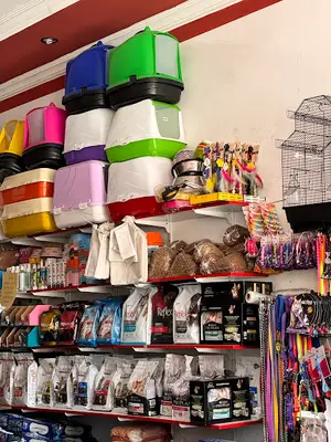 Güngör Veteriner Kliniği