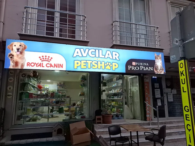 Avcılar Petshop foto 1