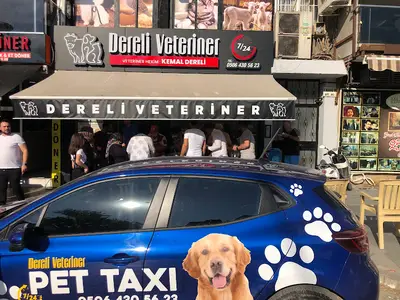 Dereli Veteriner Kliniği