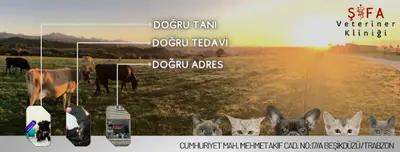 Beşikdüzü Şifa Veteriner Kliniği