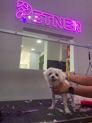 Petner Petshop & Pet Kuaför