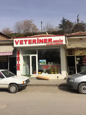 Kırşehir Veterinerim