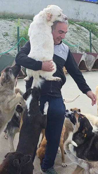 Hayvan Barınağı foto 2