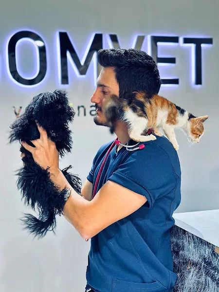 Profesyonel Köpek Eğitmeni & Davranış Danışmanı | Furkan TOROĞLU foto 1