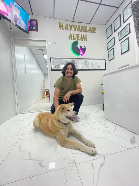 Hayvanlar Alemi Veteriner kliniği foto 2
