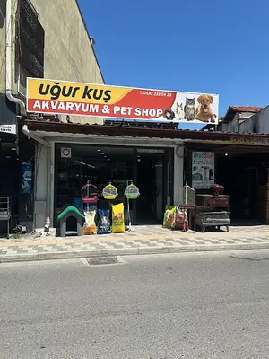 Uğur kuş petshop