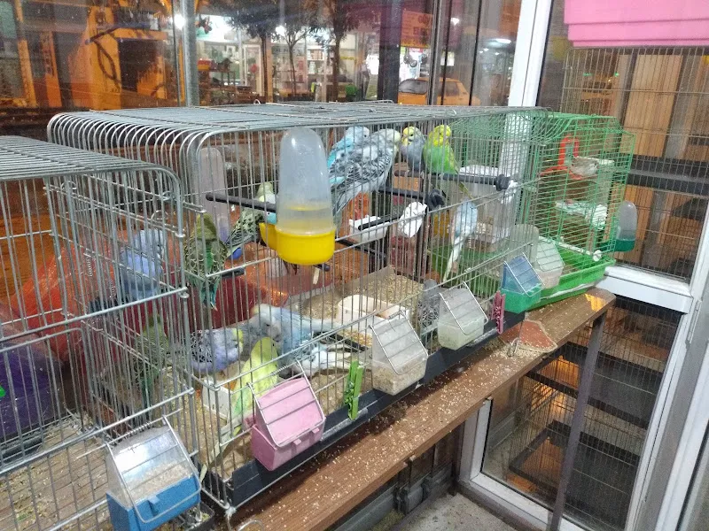 Muhabbetim Petshop foto 2