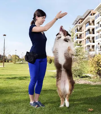 Kirazım Köpek Oteli İzmir