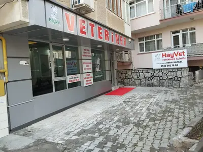 HayVet Veteriner Kliniği