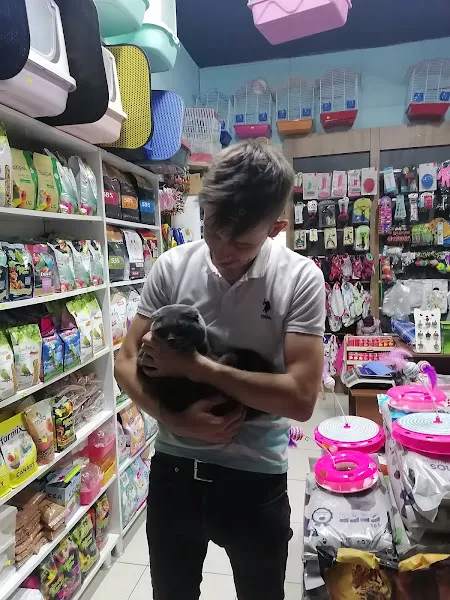 Mercan petshop1 foto 2
