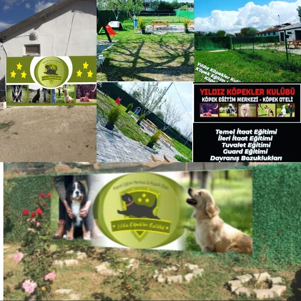 Yıldız Köpekler Kulübü Köpek Eğitimi ve Pansiyonu foto 2