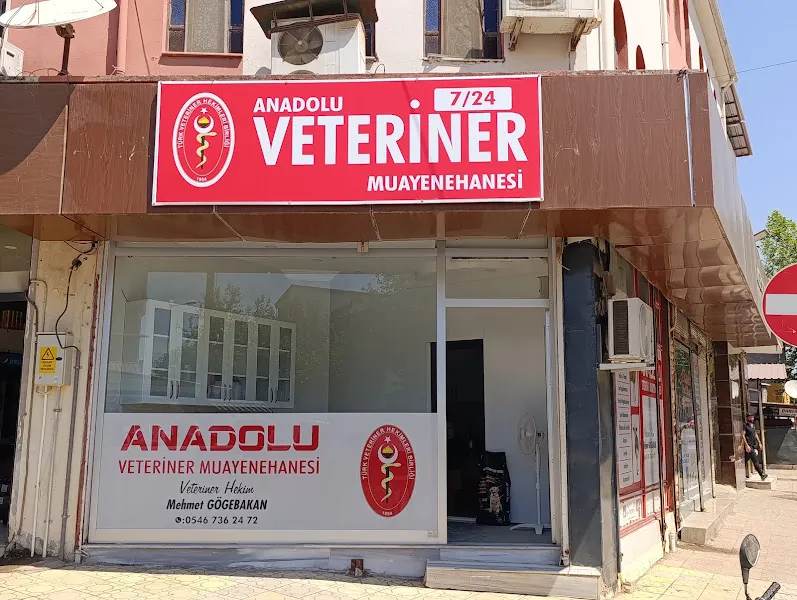 ANADOLU VETERİNER MUAYENEHANESİ foto 1