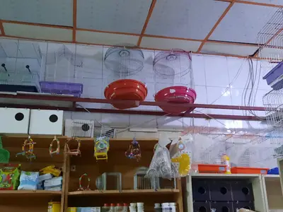 Hilal petshop