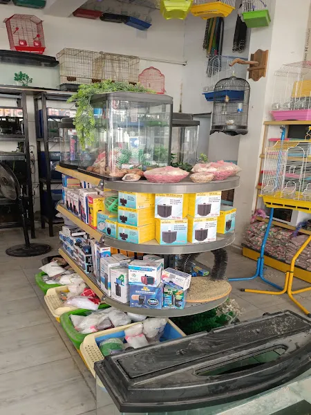 HİLAL PETMARKET foto 2