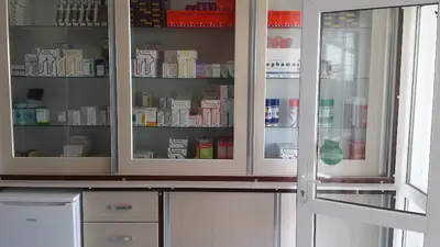 Girgin Veteriner Kliniği