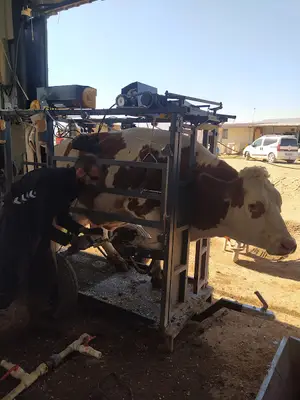 Demirel Veteriner Kliniği