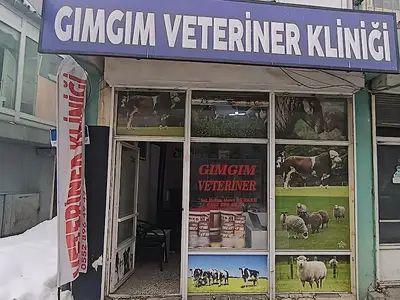 GIMGIM Veteriner Kliniği