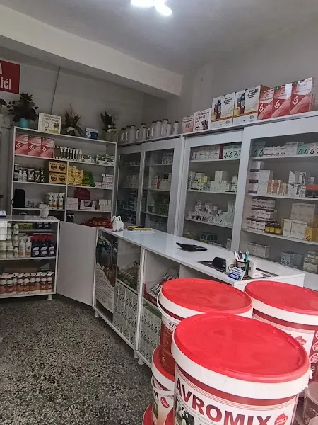 GIMGIM Veteriner Kliniği foto 2