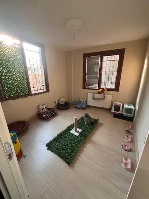 Vadi pet otel