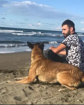 İstanbul köpek eğitim merkezi ve oteli fotoğrafı