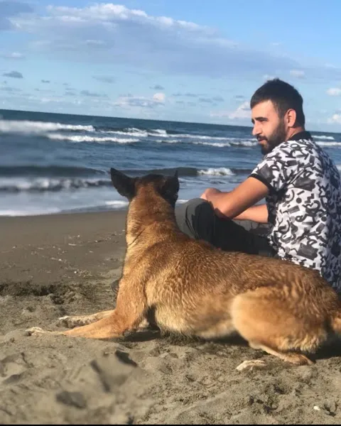 İstanbul köpek eğitim merkezi ve oteli foto 1