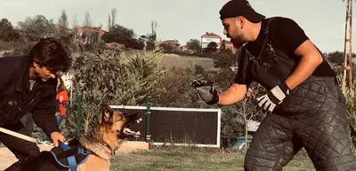 Umut Deniz Aşık Köpek Oteli ve Köpek Eğitim Merkezi fotoğrafı