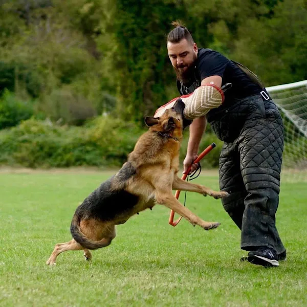 Umut Deniz Aşık Köpek Oteli ve Köpek Eğitim Merkezi foto 2